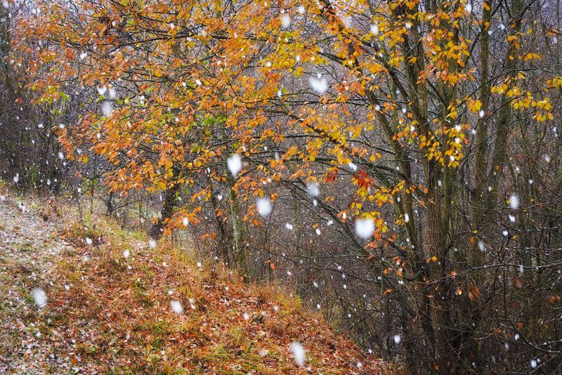 2024 фото превью