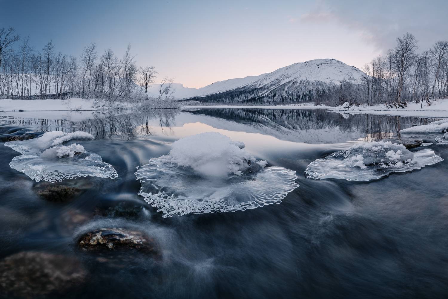 , Ян Сурогин