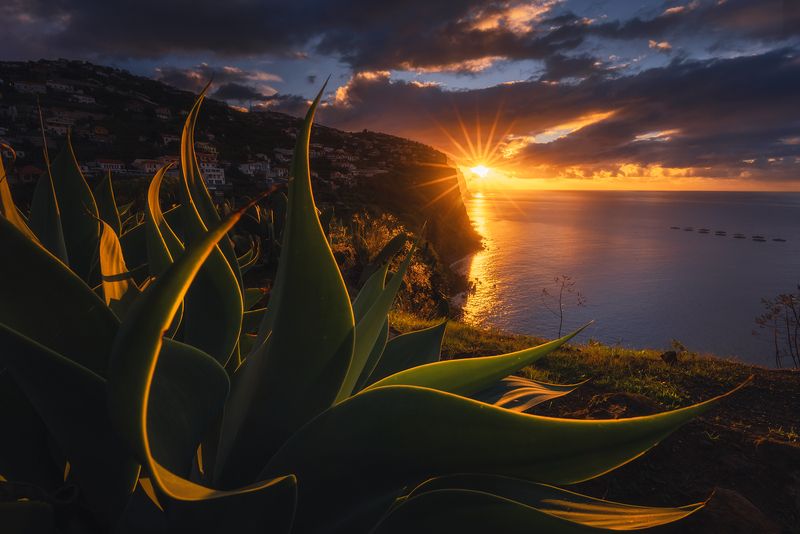 Madeira sunrise фото превью