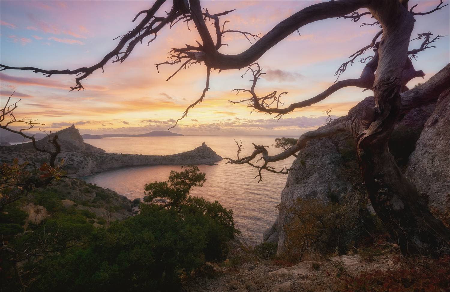 , Богорянов Алексей