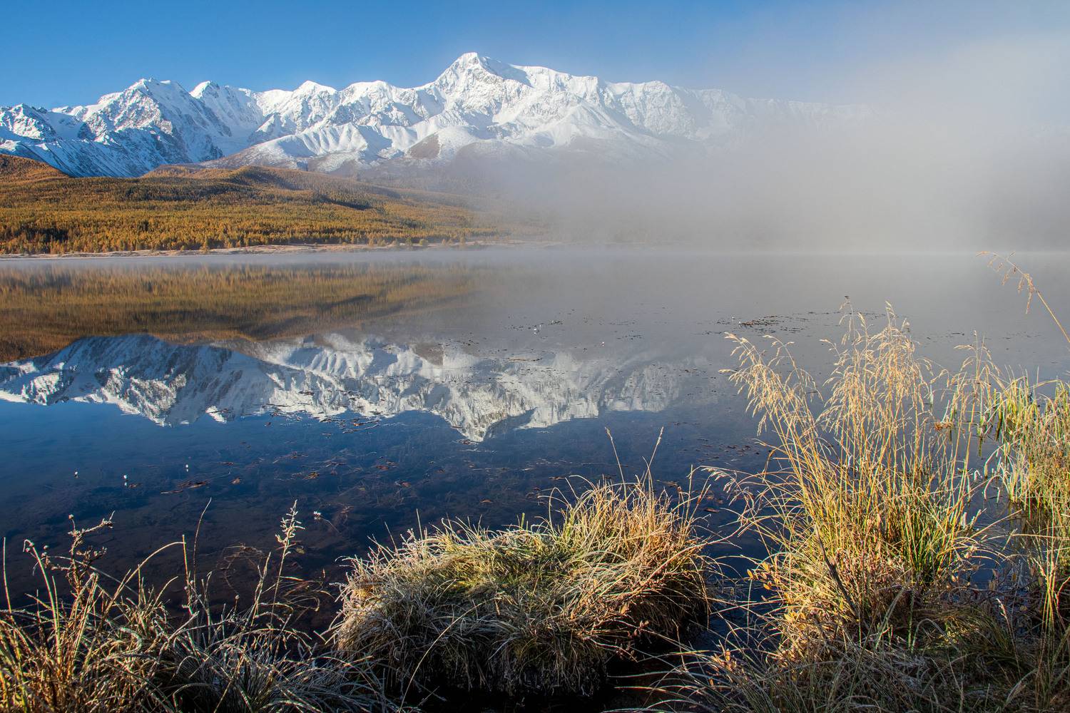 алтай, Добролюбова Тамара