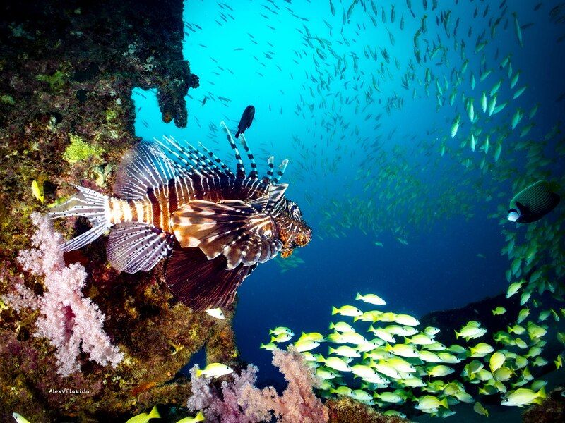 Круг жизни фото превью