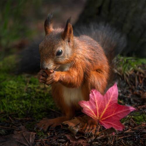 Модель на съемке