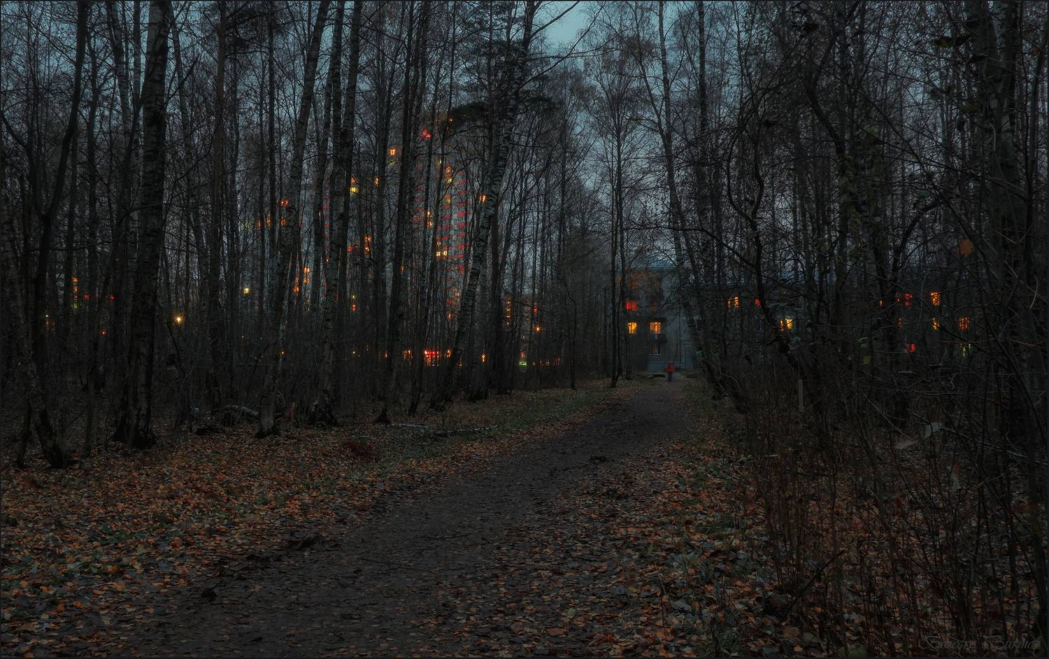 , Болеско Виктор