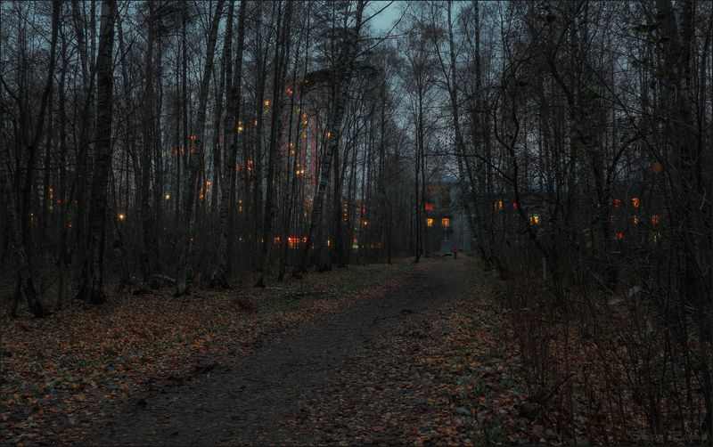 Субботний вечер в ноябре фото превью