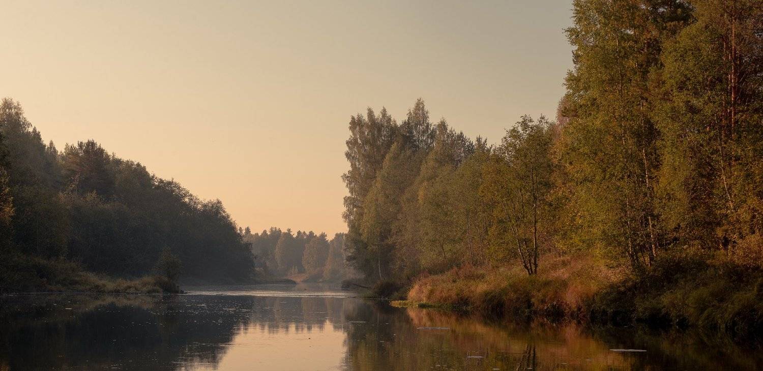 , Евгений Морозов