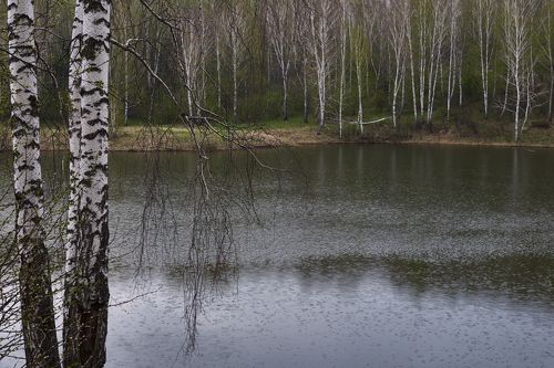 Первый дождик