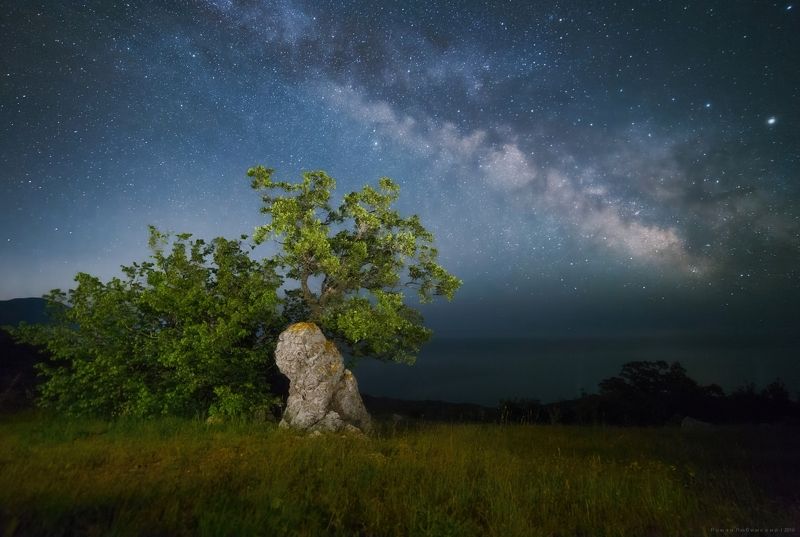 природа, ночь, ночной пейзаж, дерево, млечный путь, крым, звезды, небо, ночное небо,  Ночной Страж фото превью