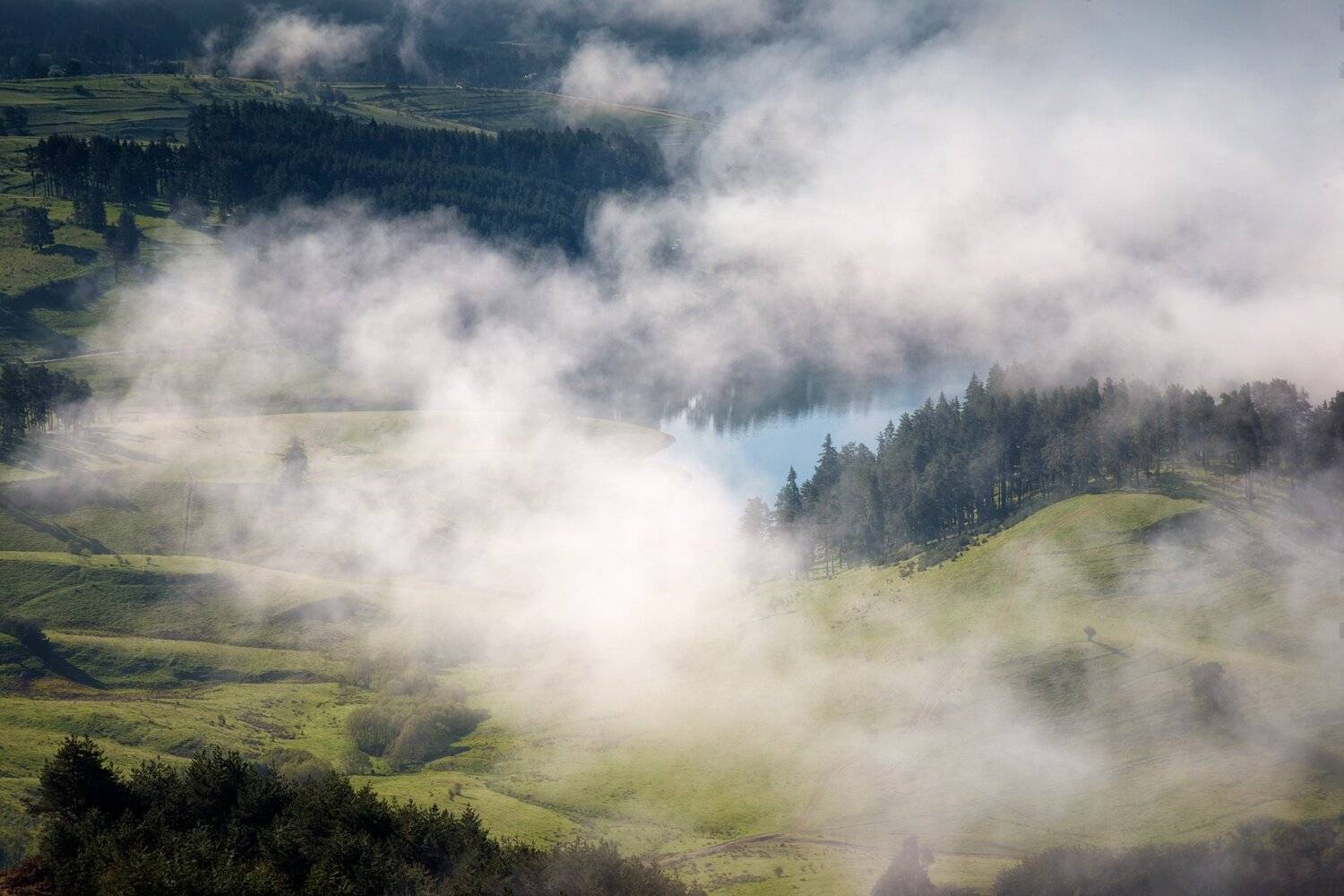 , Весела Маринова