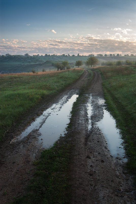 Май, Свежесть, Утро Легкое дыхание фото превью