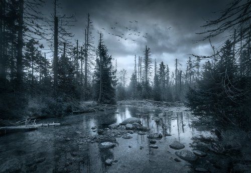 Гиблое место