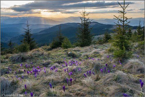 Солнечный разлив