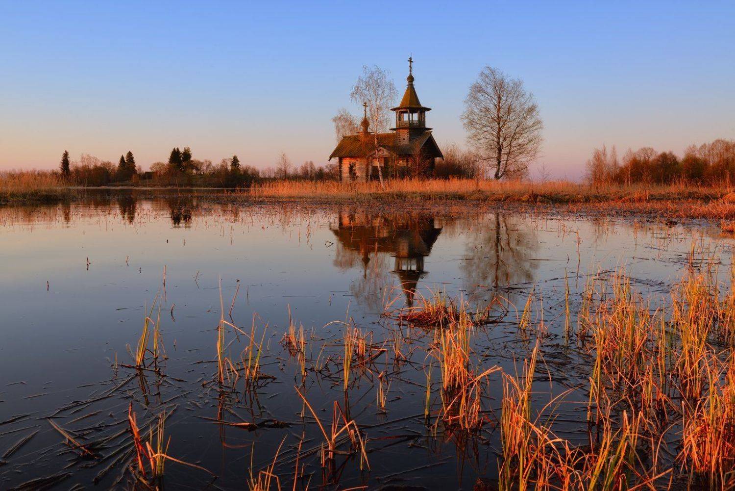 , Максим Евдокимов ( www.wildphotorus.ru )