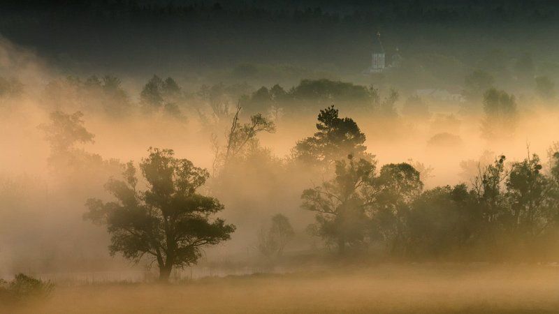 . . . фото превью