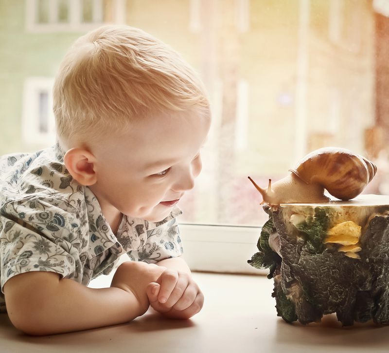 Дети, Мальчик, Окно, Улитка Привет! фото превью