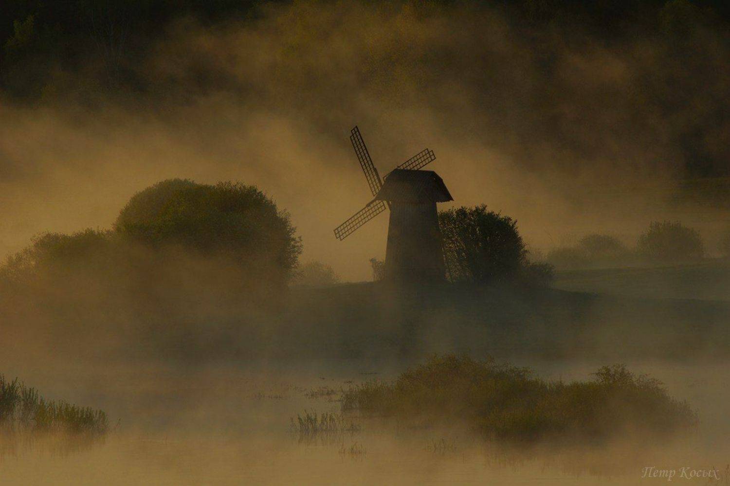 , Петр Косых