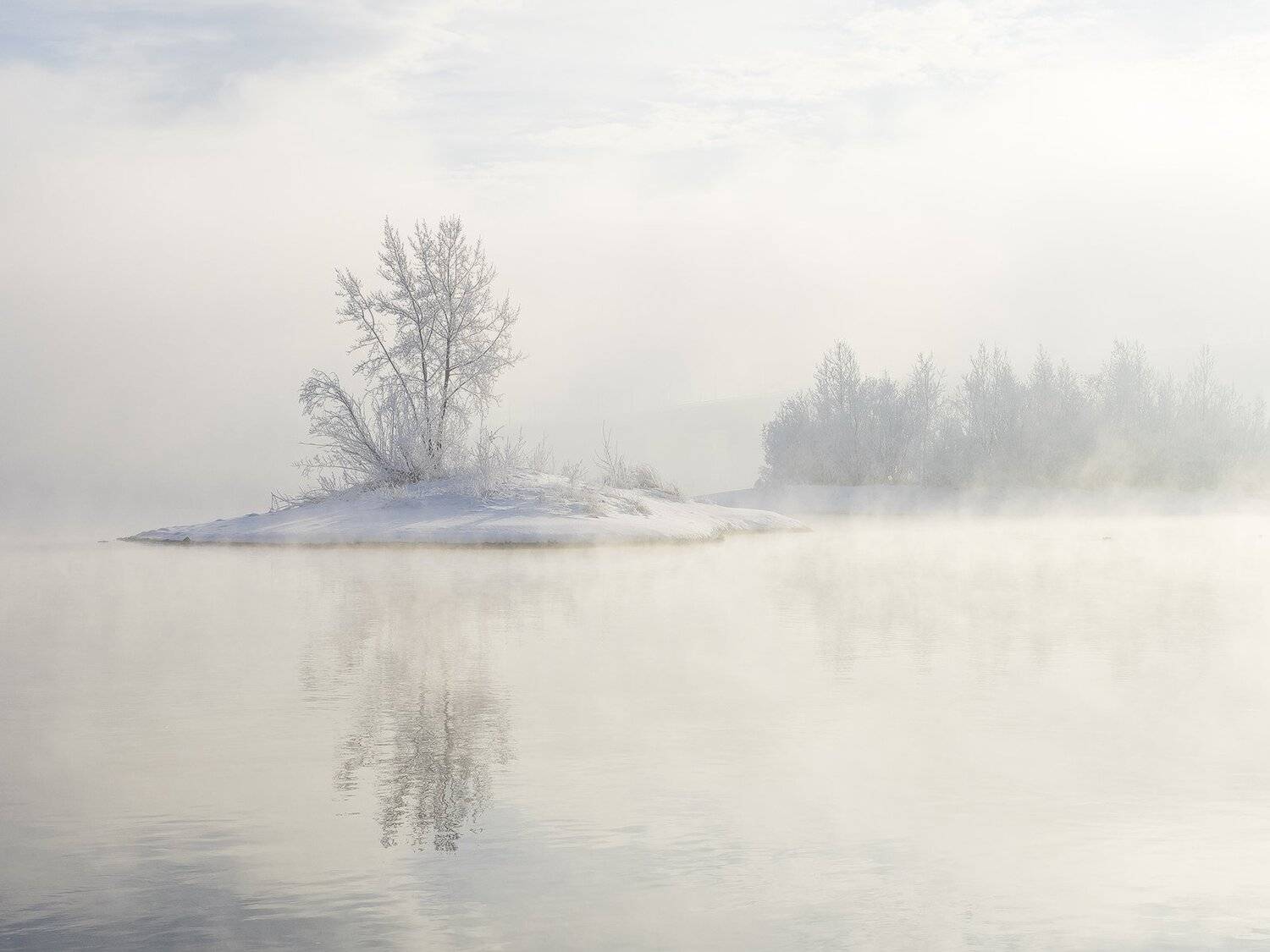 , Лещёнок Александр