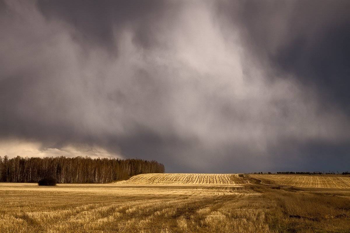 , Николай Морский