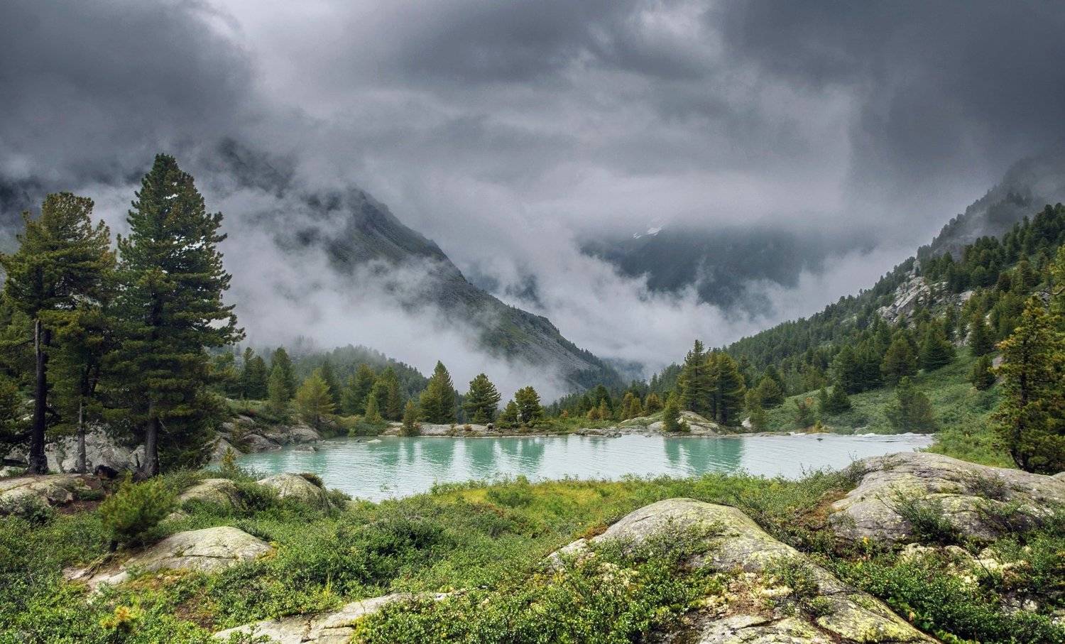 , Алексей Кретов