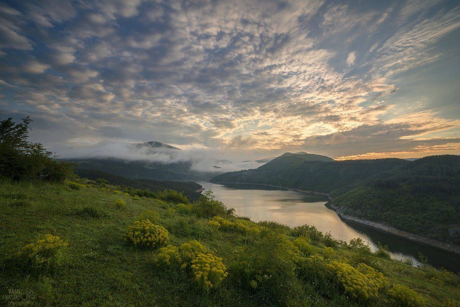 , Васил Анастасовски