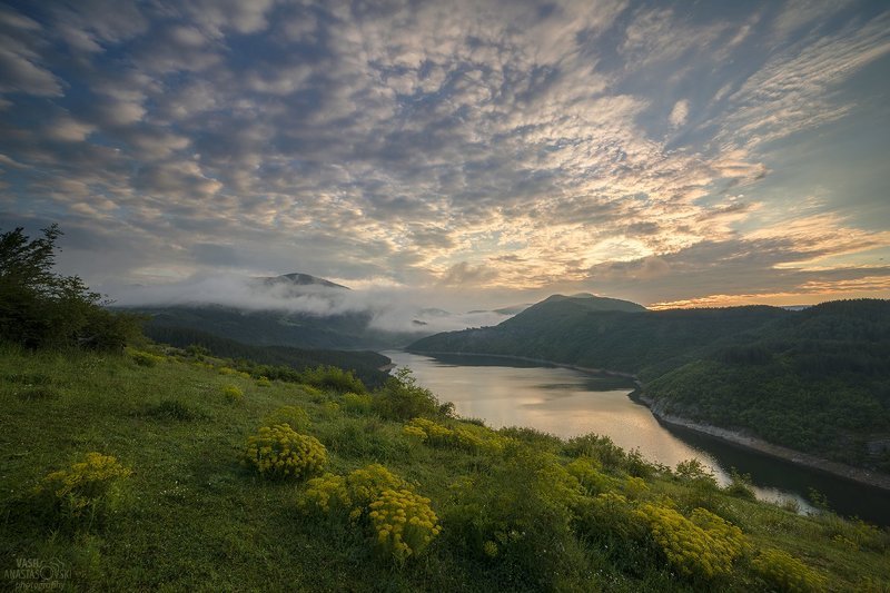 Утро фото превью