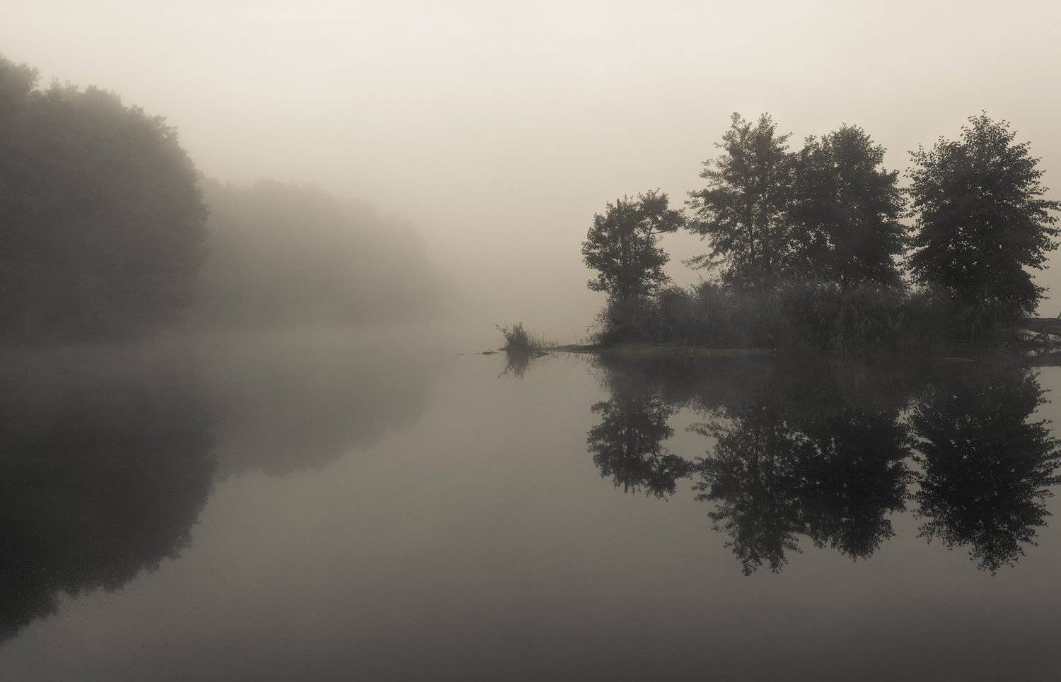 , Кулинич Артём