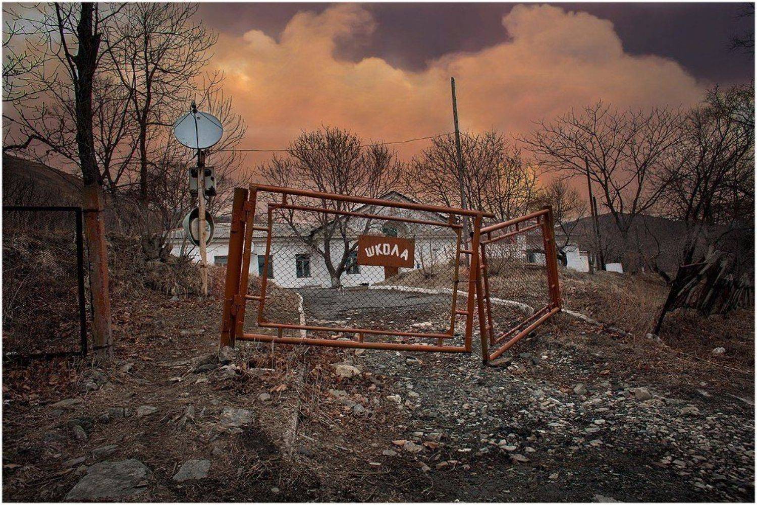 , Галина Кинева