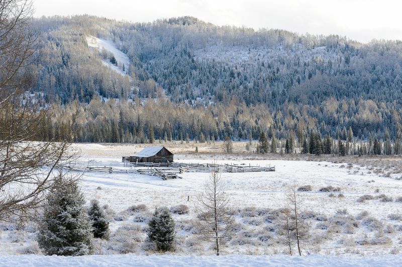 Зима, горы, Алтай, заимка Домик в горах фото превью