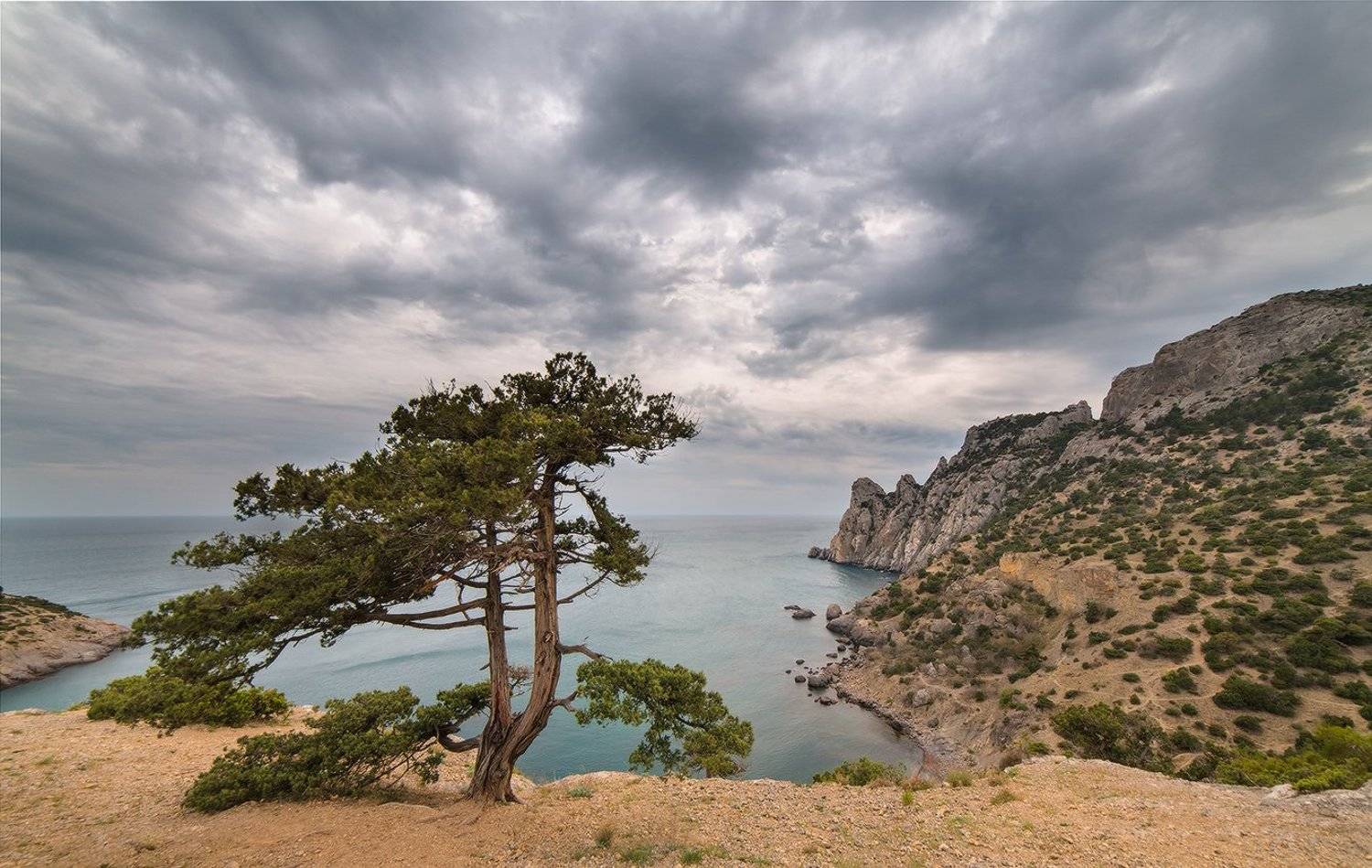 , Николай Мысливцев