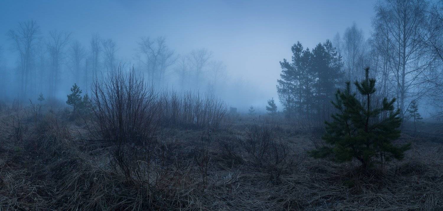 , Александр Бредихин