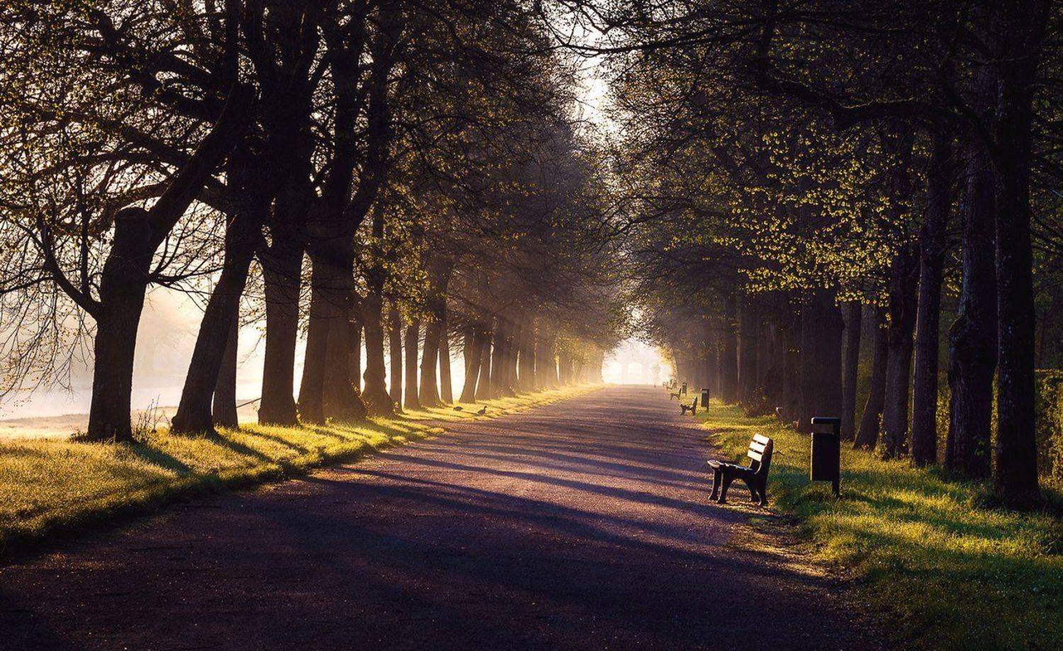 , Синкальський Тарас