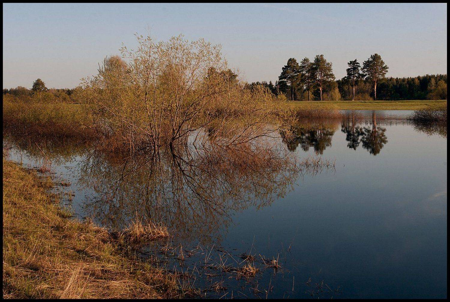 , Поташев Александр