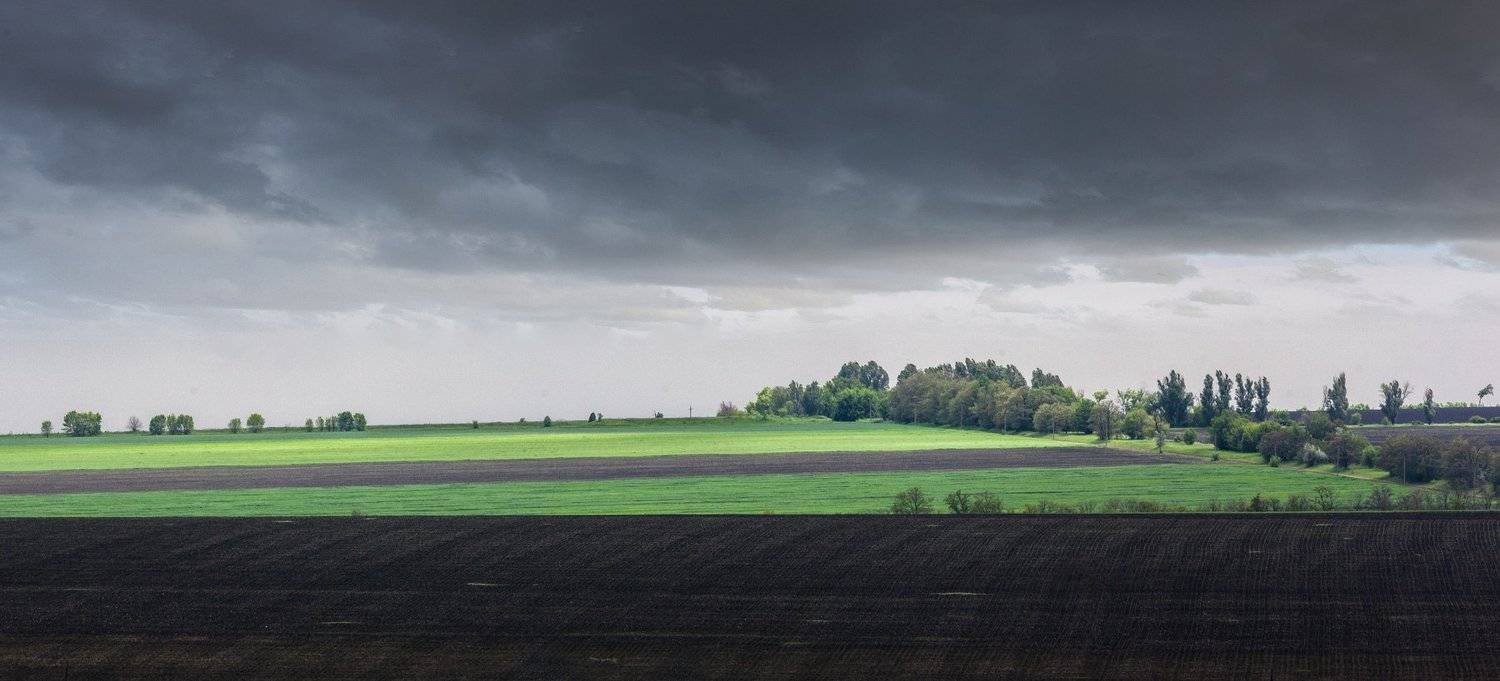 Украина, степь, природа, весна, облака, поля, утро, , Никита Сердечный