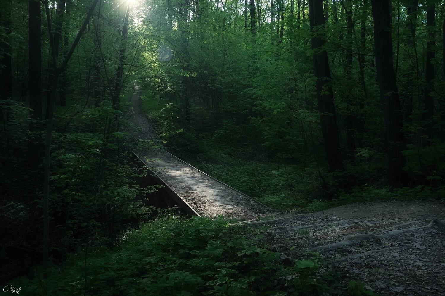 , Александр Кудинов