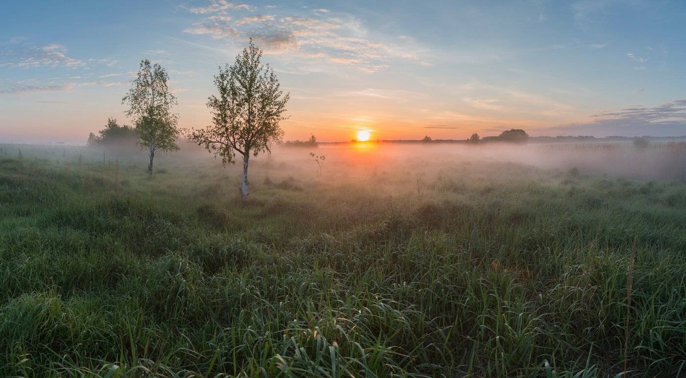 , Александр Бредихин