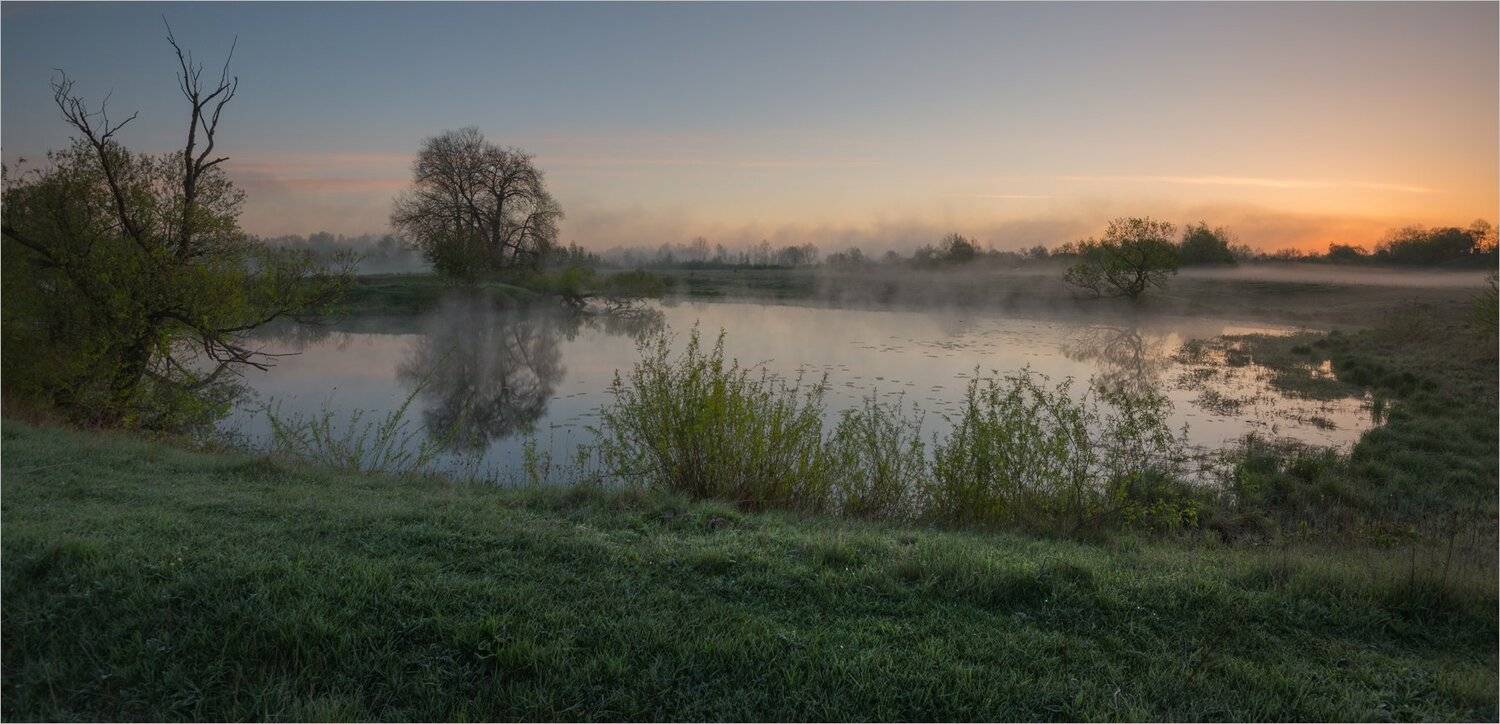 , Николай Шахманцир