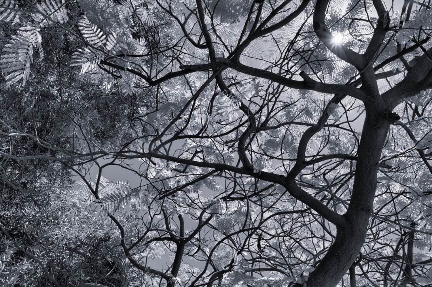 линии, пятна, природа, арт, свет, valeko