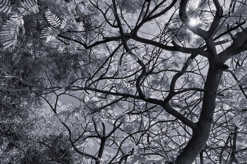 линии, пятна, природа, арт, свет *** фото превью