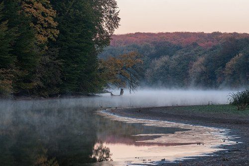 Первые заморозки