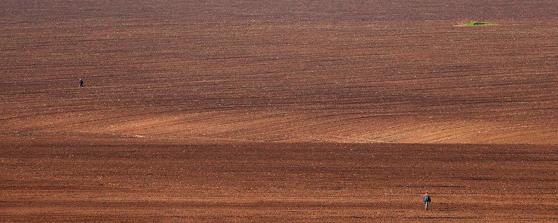 кто куда фото превью