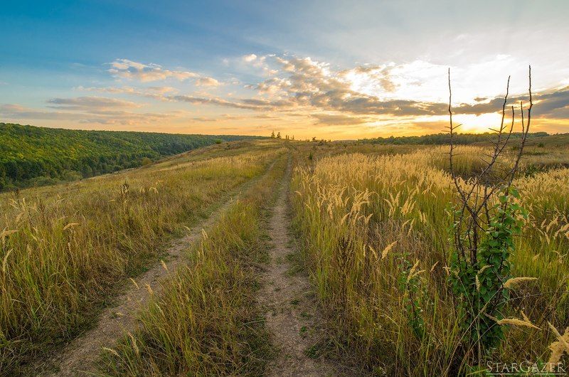 Sunset, Landscape, Nature, Russia, Закат, Дорога Дорога на Ведьмином холме фото превью