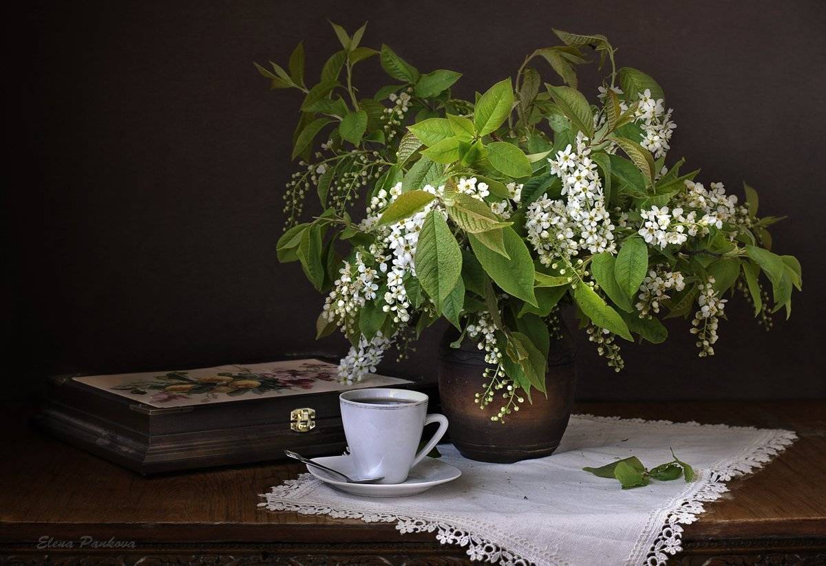 черемуха, Elena Pankova