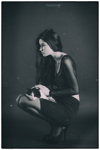 Cats 