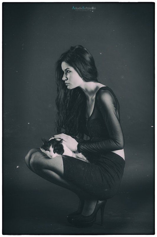 cat, d4, nikon, ars Cats  фото превью