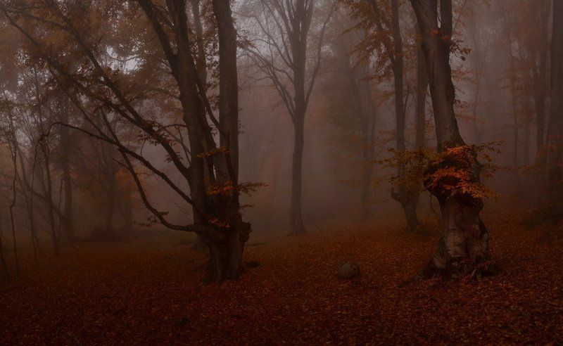 Осенняя меланхолия фото превью