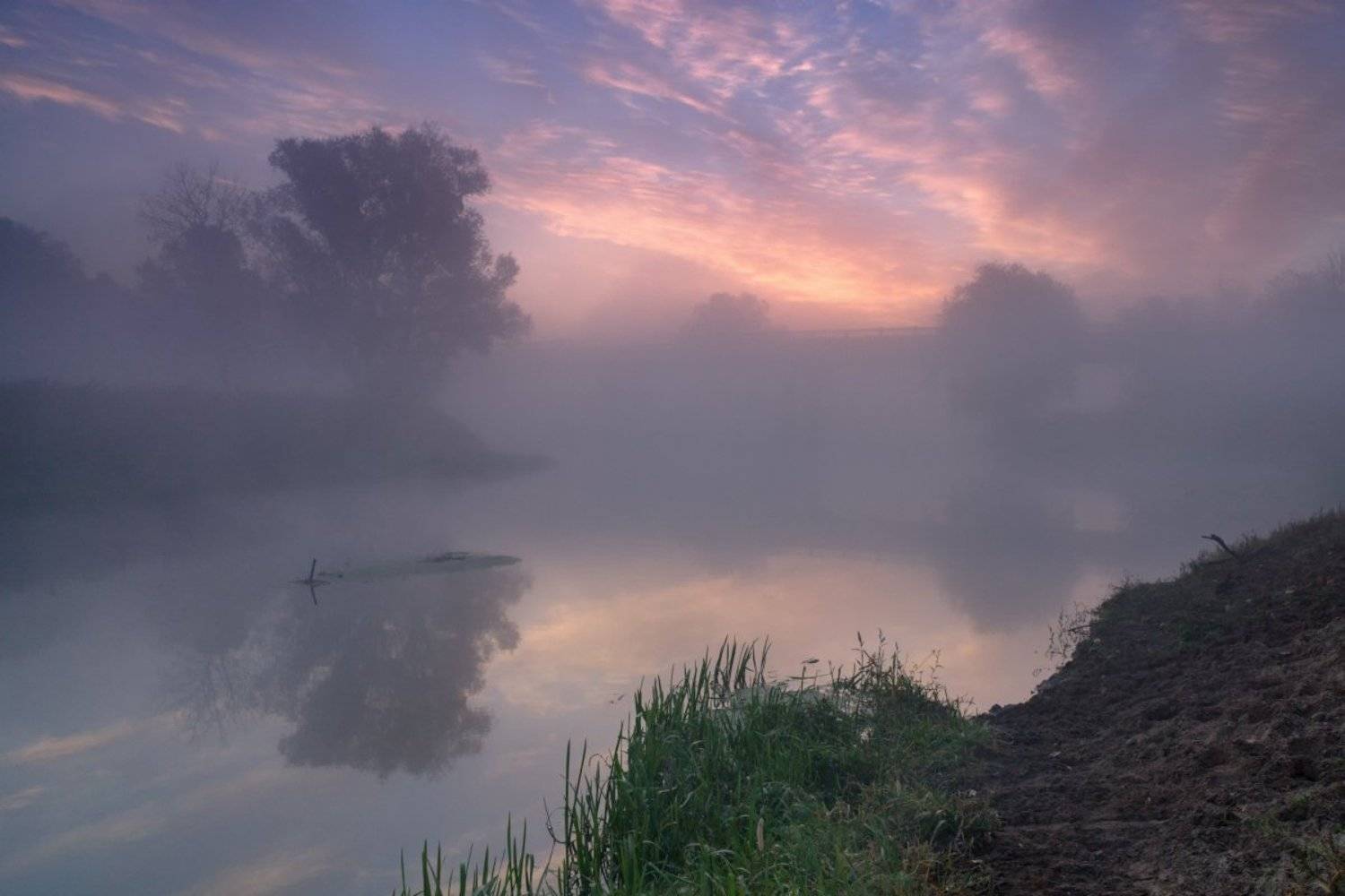 , Алексей Аргентум