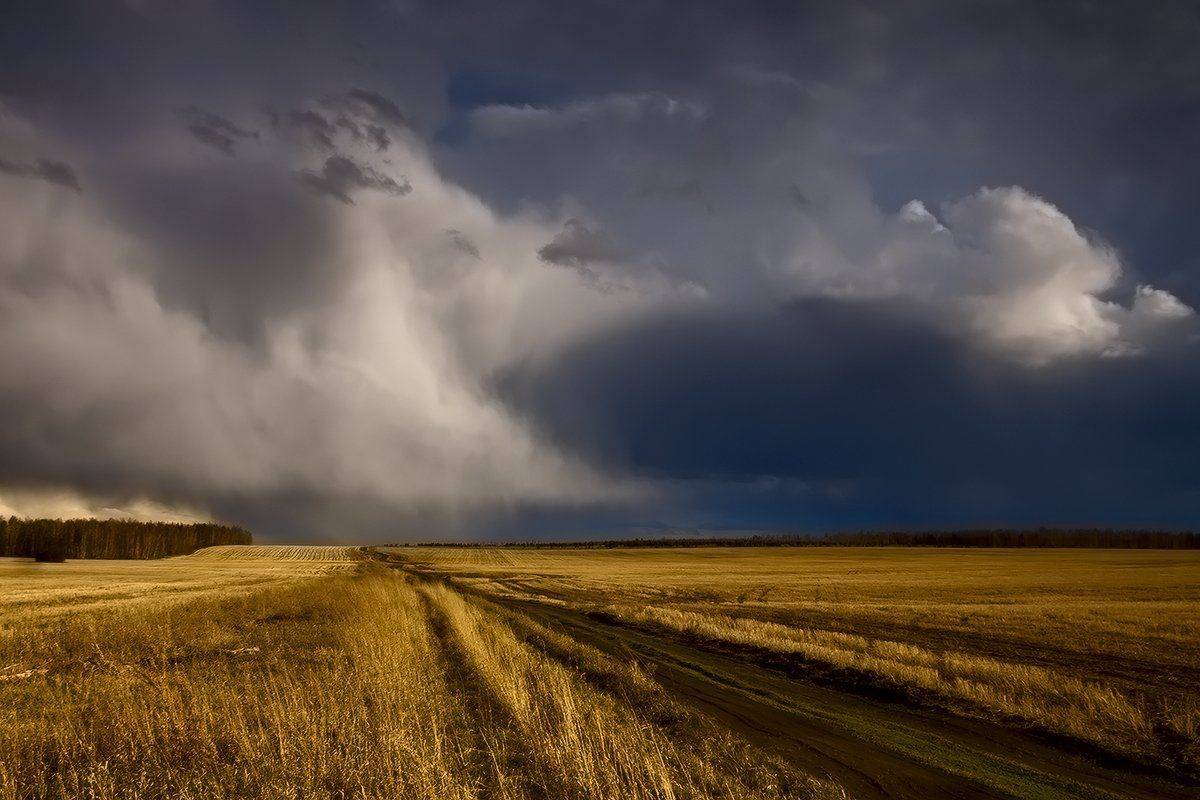 , Николай Морский