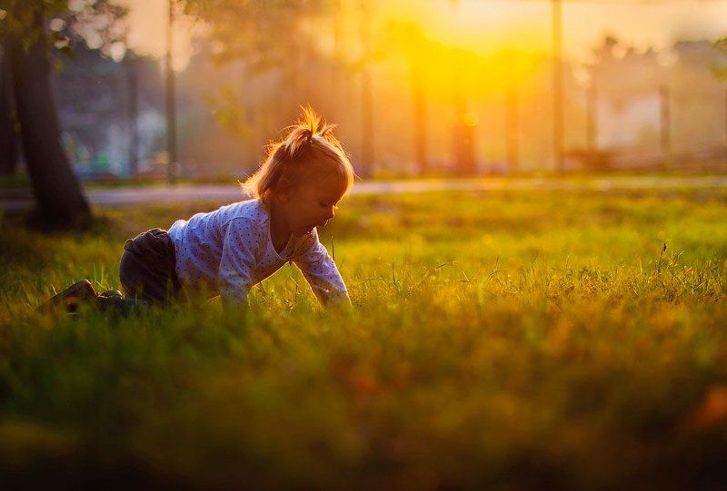 Мышка-норушка фото превью