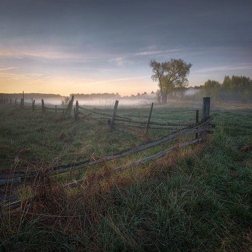 Мелодия рассвета..