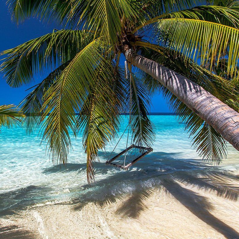 Индийский океан, Мальдивы, Отдых, Пальма, Пальмы, Тропики, Шри-ланка, Экзотика Баунти фото превью